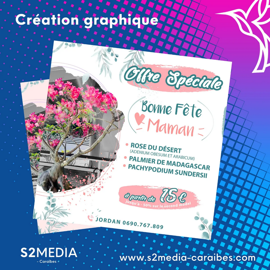 création graphique guadeloupe, création de visuels, agence de publicité guadeloupe création graphique guadeloupe, création de visuels, agence de publicité guadeloupe